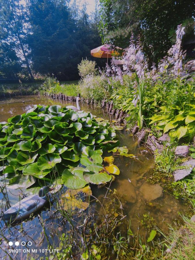 Bezdroza Mazurskie Homestay Mragowo