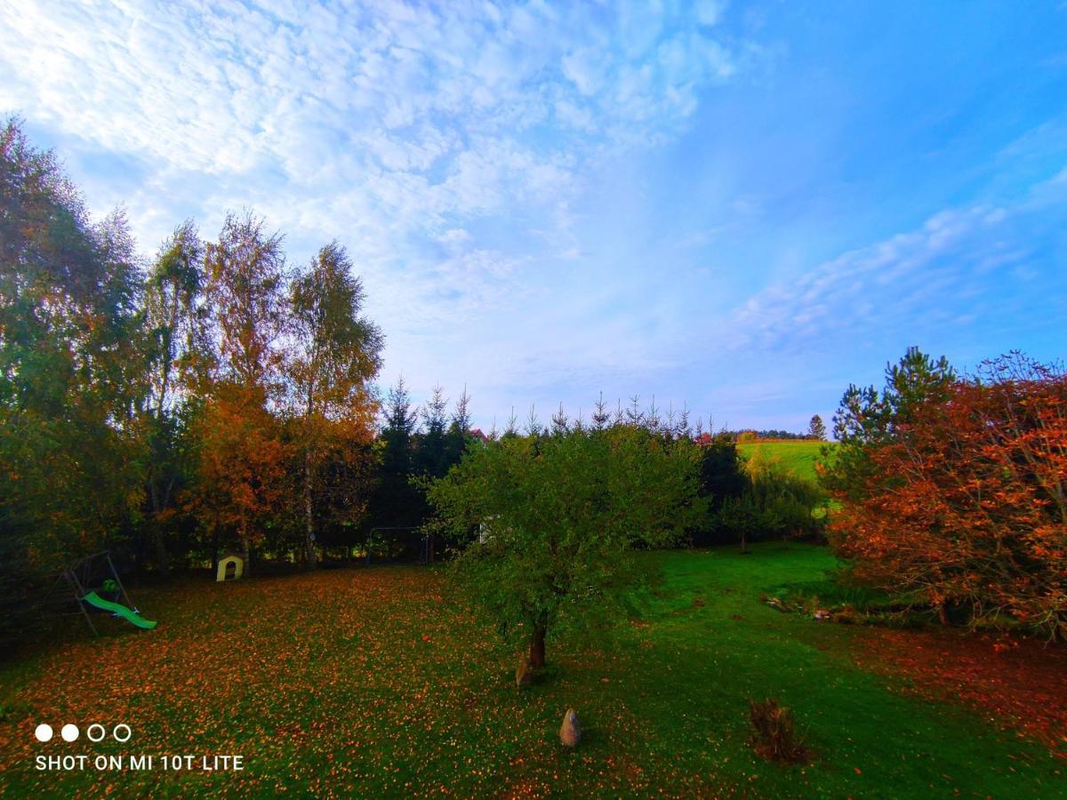 Homestay Bezdroza Mazurskie *